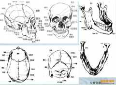 四個(gè)要點(diǎn)告訴你：在人像素描中需要表現(xiàn)哪些內(nèi)容？