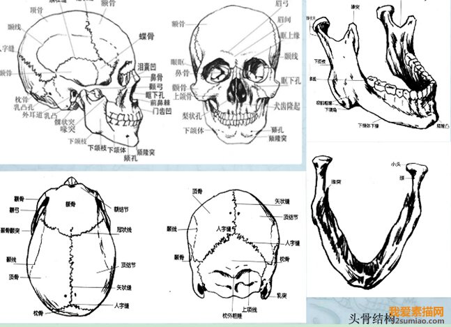 四個(gè)要點(diǎn)告訴你：在人像素描中需要表現(xiàn)哪些內(nèi)容？