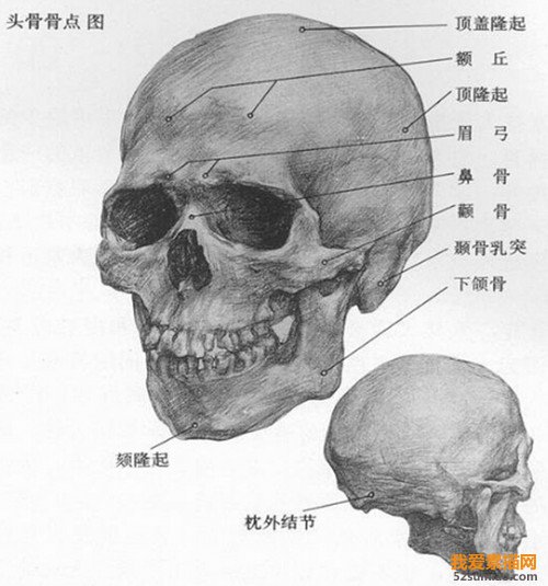 素描頭像技法學(xué)習(xí)與優(yōu)秀作品欣賞