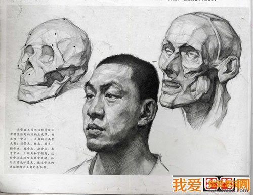 素描頭像之五官比例關(guān)系