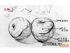 素描蘋果畫法解析步驟圖 以蘋果學(xué)素描