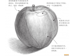 素描排線技巧：線條的三維空間關(guān)系 體積的塑造